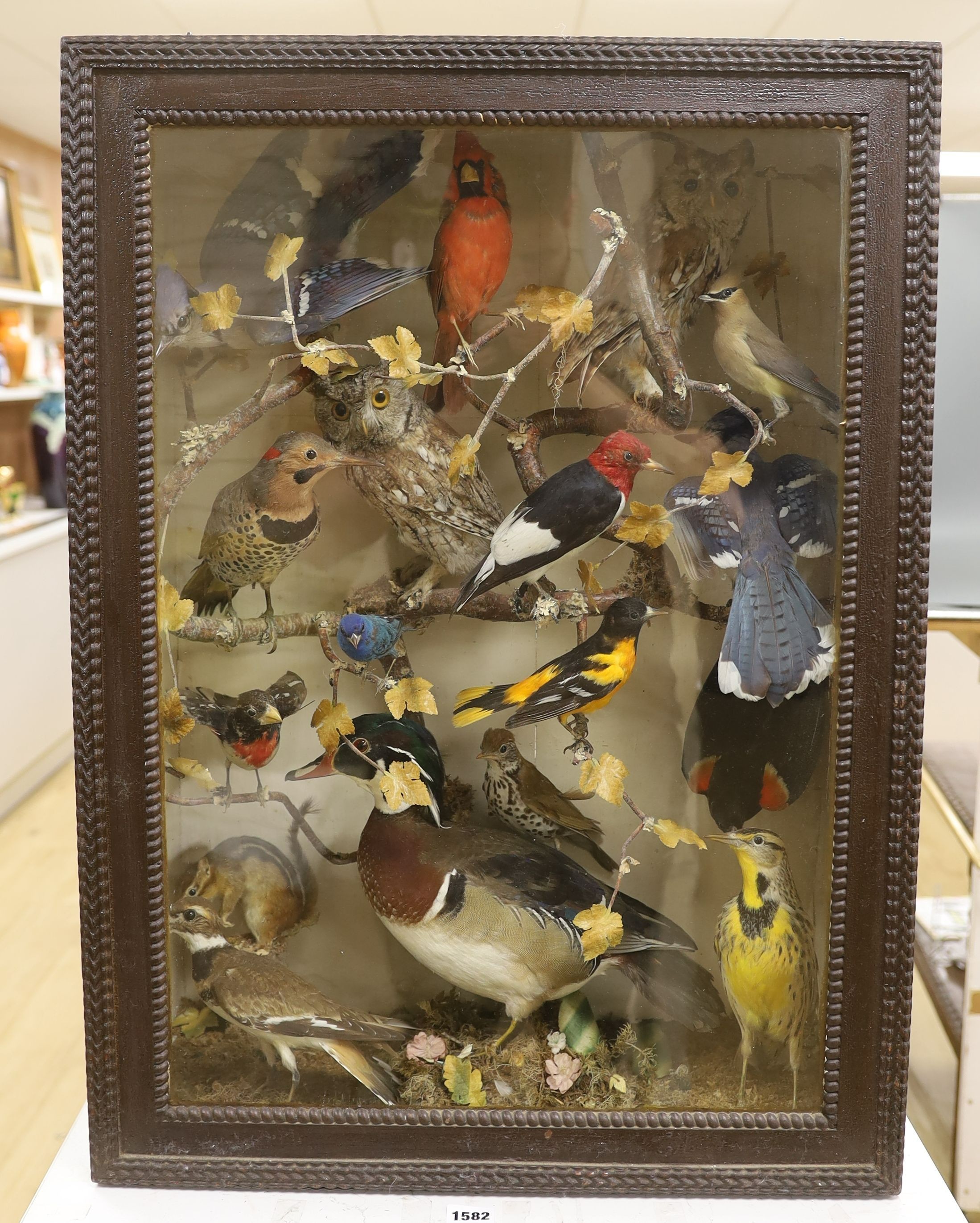 A late 19th / early 20th century North America taxidermy display of Native birds and chipmunk, case width 54cm height 75cm